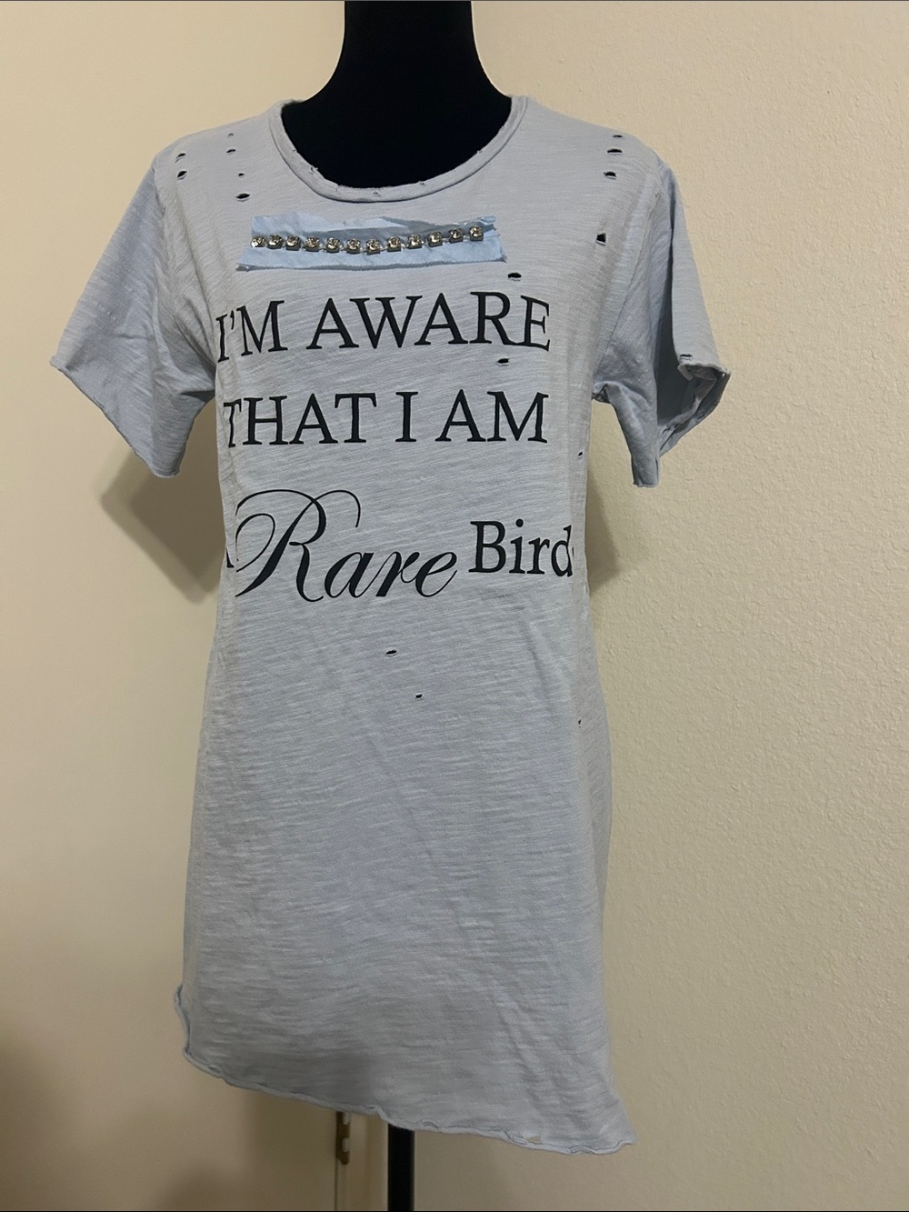 Rare Bird Light Blue Graphic Tunic Tee